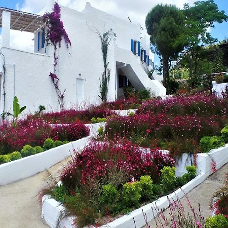 Sunset Mavi Villa Turgutreis Exterior photo