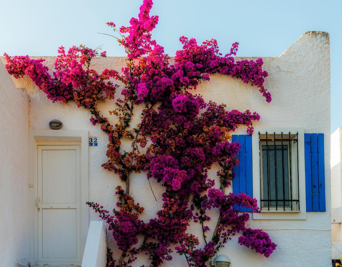 Sunset Mavi Villa Turgutreis Exterior photo